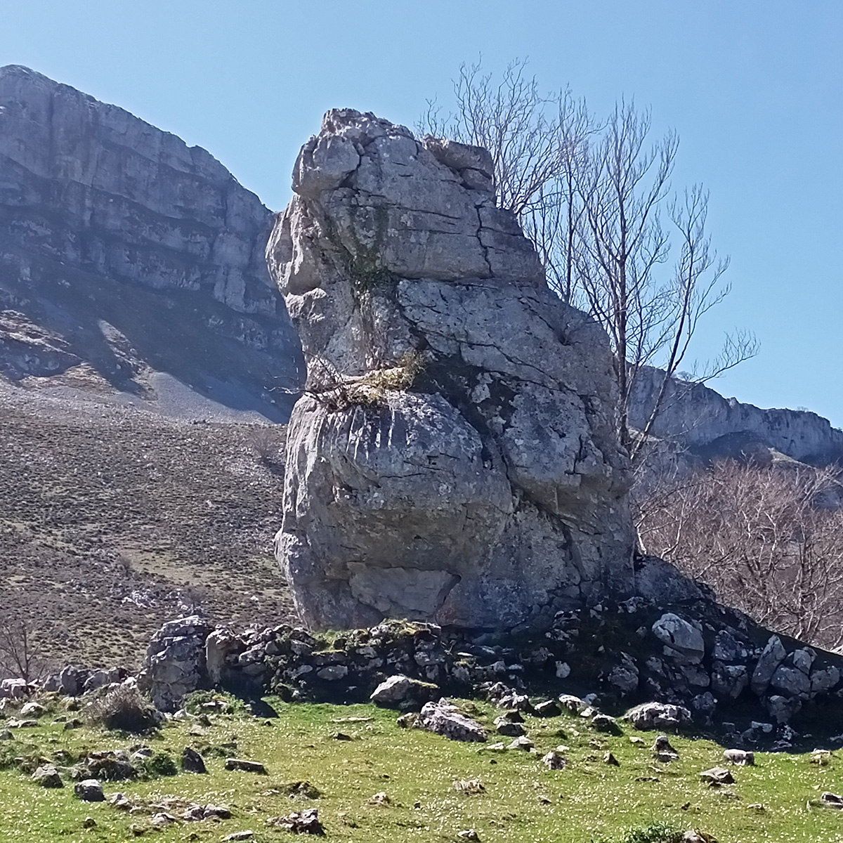 Monolito en la majada