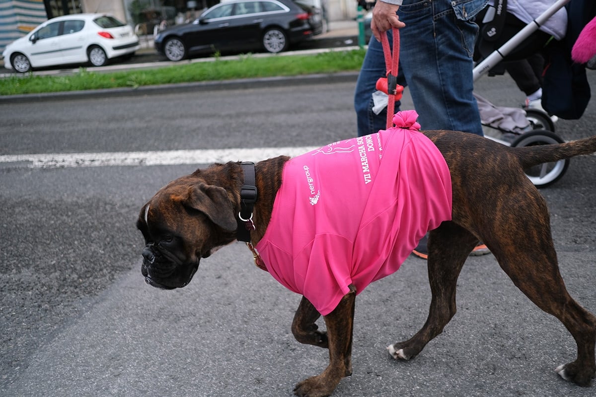 DSCF7279 - Katxalin moviliza a miles de donostiarras en su marea rosa contra el cáncer de mama