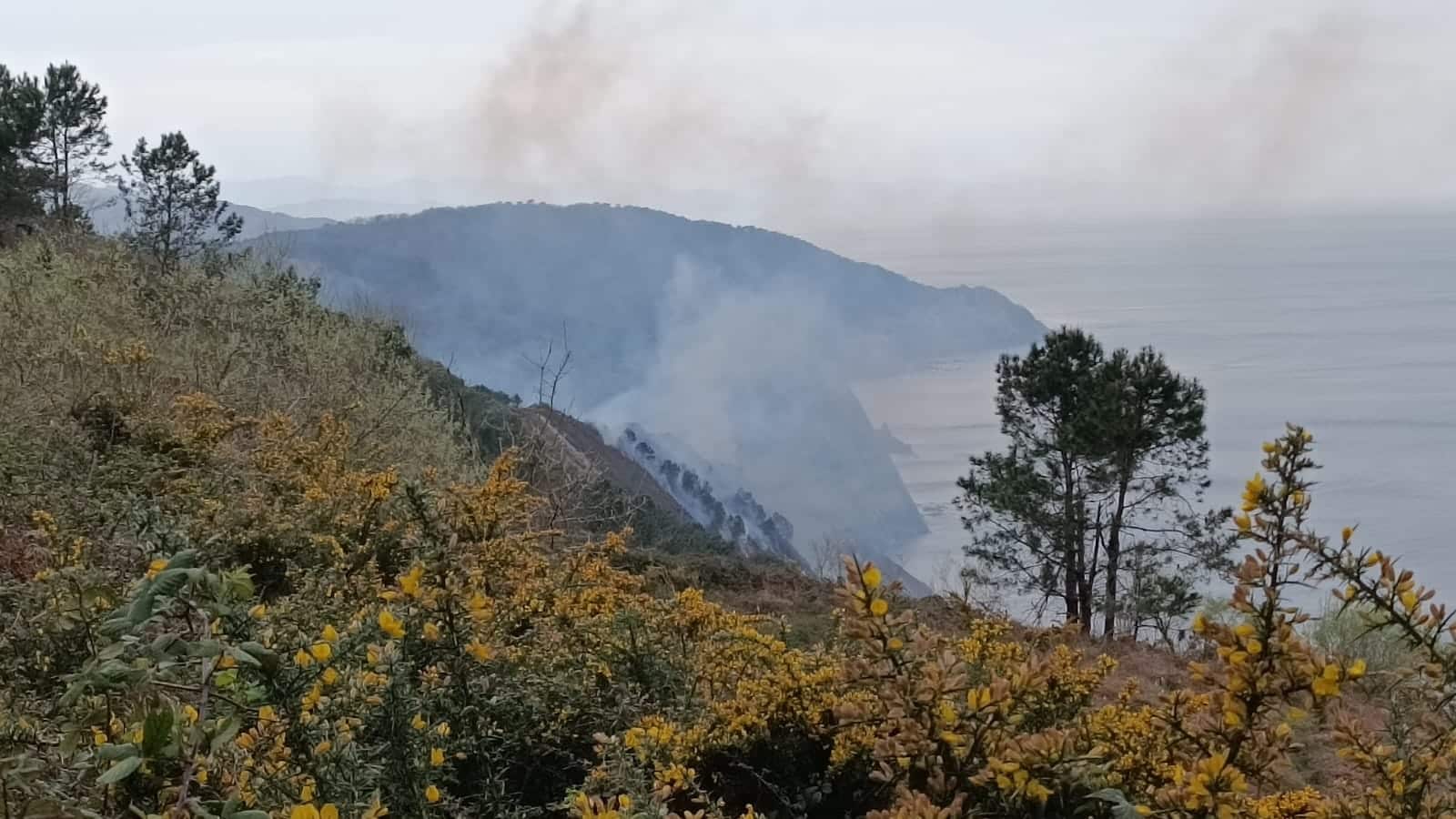 JaizkibelAlberro El incendio de Jaizkibel arrasa 30 hectáreas de monte