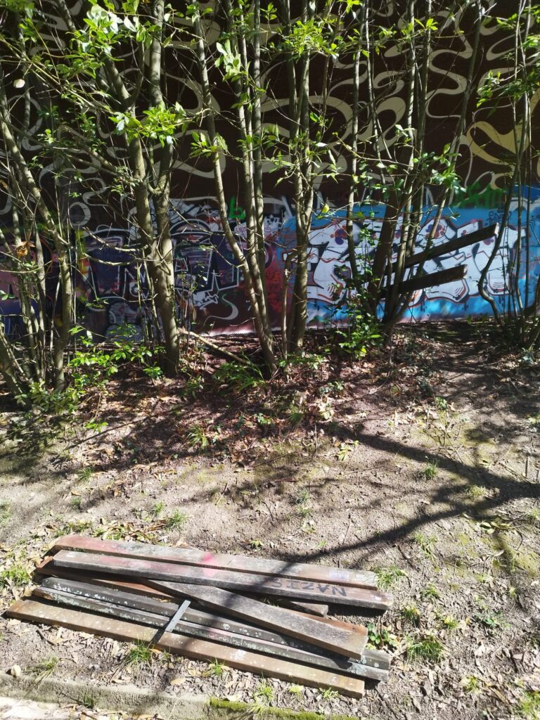 WhatsApp Image 2025 03 09 at 11.53.20 768x1024 - Vandalismo campestre en el parque Ametzagaina